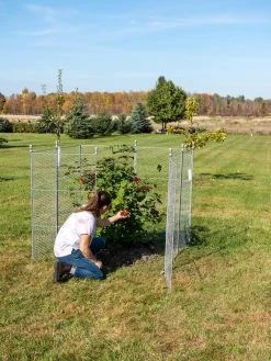 Tall Chicken Wire Critter Fence Extension Panel, Set Of 2 18 Tall Chicken Wire Critter Fence Extension Panel, Set Of 2 -Green Haven Shop 8613260 0090