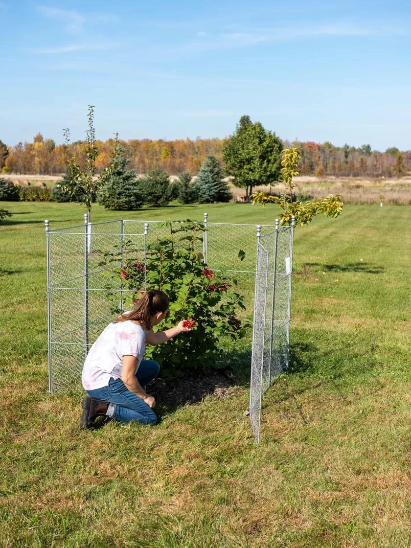 Tall Chicken Wire Critter Fence Extension Panel, Set Of 2 5 Tall Chicken Wire Critter Fence Extension Panel, Set Of 2 - Image 5