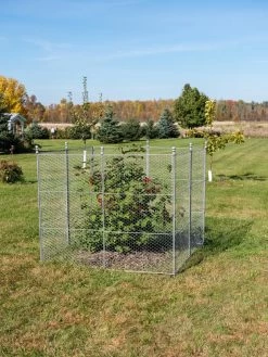 Tall Chicken Wire Critter Fence Extension Panel, Set Of 2 16 Tall Chicken Wire Critter Fence Extension Panel, Set Of 2 -Green Haven Shop 8613262 0116
