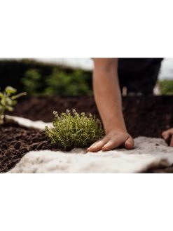 Hortiwool ®, Starter Garden Pad -Green Haven Shop 8613263 09v