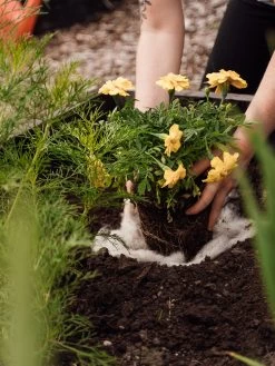 Hortiwool ®, Starter Garden Pad -Green Haven Shop 8613263 12v