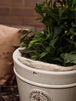 Hortiwool ®, 5 Pad Pack -Green Haven Shop 8613263 17v