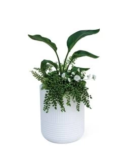 Arden Round Planter -Green Haven Shop 8613267 0115