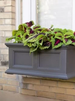Fairfield Self-Watering Window Box, 2’ -Green Haven Shop 8613268 08V tif
