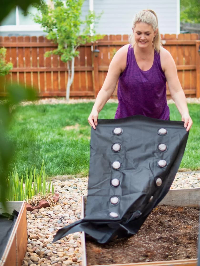 SeedSheets Organic Vegetable Garden, Spring Perfection, 4' X 8' 3 SeedSheets Organic Vegetable Garden, Spring Perfection, 4' X 8' - Image 3