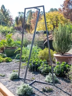 Pilar Free Standing Trellis -Green Haven Shop 8613316 5164