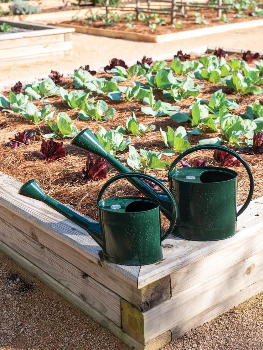 Long Reach Watering Can, Large 4 Long Reach Watering Can, Large - Image 4