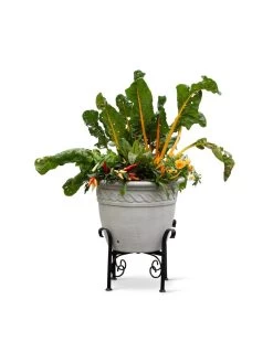 Covington Adjustable Plant Stands 18 Covington Adjustable Plant Stands -Green Haven Shop 8613347 0119