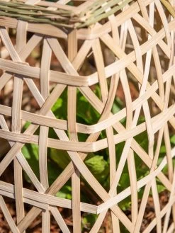 Bamboo Cloche, Set Of 2 -Green Haven Shop 8613351 0153