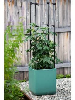 Oasis Self-Watering Tomato Planter With Trellis -Green Haven Shop 8613440 0373 3 4