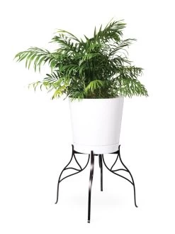 Aubrey Adjustable Plant Stand