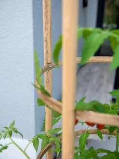 Elevated Bamboo Tomato Planter And Trellis -Green Haven Shop 8613502 0423
