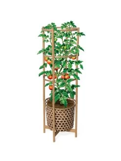 Elevated Bamboo Tomato Planter And Trellis -Green Haven Shop 8613502 art flat