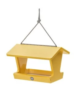 Color Pop Hopper Bird Feeder