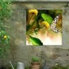 Butterfly Kiss Outdoor Wall Art