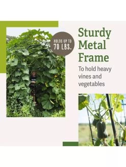 Titan Squash Tunnel -Green Haven Shop B07932DMCR plantsupport benefits 2