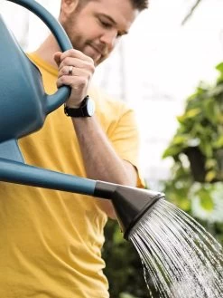French Blue Watering Can -Green Haven Shop ChrisAhrensSquare 0118 tif