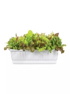 31" Self-Watering Window Box -Green Haven Shop GS36523 01Z 3 4
