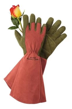 Rose Gloves -Green Haven Shop GS36874 01Z tif
