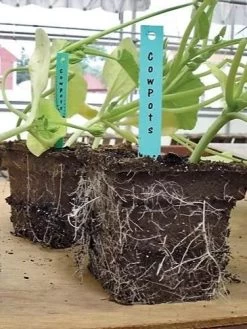 2-3/4" Square Cowpots 6-Packs, Set Of 4 5 2-3/4" Square Cowpots 6-Packs, Set Of 4 -Green Haven Shop GS37034 05