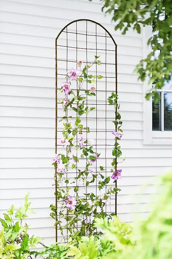 Jardin Flower Trellis 1 Jardin Flower Trellis