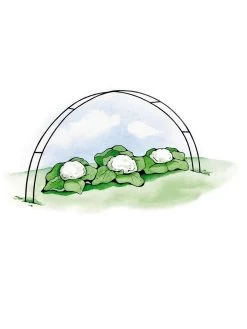 Super Hoops, Set Of 6 -Green Haven Shop GS39423 02S 3 4
