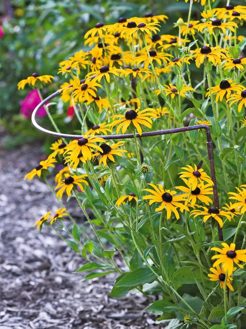 Jardin Half-Round Plant Supports, Set Of 2 1 Jardin Half-Round Plant Supports, Set Of 2