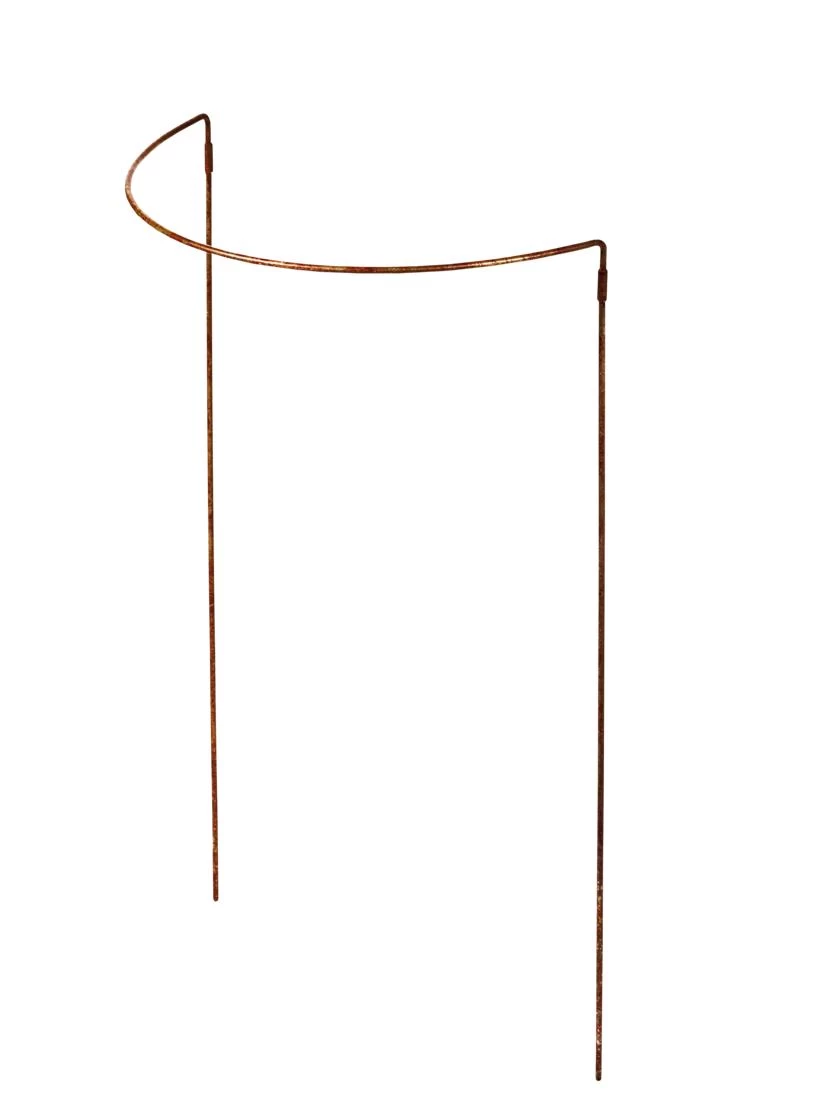 Jardin Half-Round Plant Supports, Set Of 2 2 Jardin Half-Round Plant Supports, Set Of 2 - Image 2