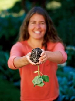 Deep Root Seedstarting System, Black -Green Haven Shop GSCOVSPR06D2 01