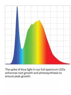 Compact 2-Tier SunLite® Garden -Green Haven Shop LED ColorSpectrum grid PDP 31