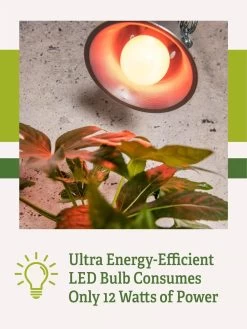 Miracle LED® Absolute Daylight™ Max Flowering Grow Light Bulb -Green Haven Shop Miracle Daylight Bulb 2