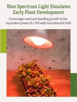 Miracle LED® Absolute Daylight™ Max Flowering Grow Light Bulb -Green Haven Shop Miracle Daylight Bulb 4