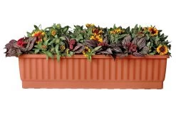 39" Self-Watering Window Box -Green Haven Shop gs34497 01s