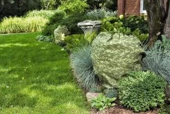 ShrubJacket Covers -Green Haven Shop gs39166 02