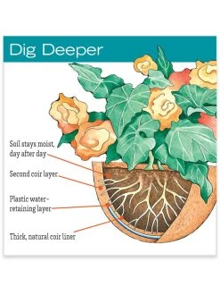 AquaSav™ Replacement Liners, Set Of 3 6 AquaSav™ Replacement Liners, Set Of 3 -Green Haven Shop hiw 38 583