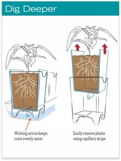Stoneware Self-Watering Windowsill Planters, Set Of 2 9 Stoneware Self-Watering Windowsill Planters, Set Of 2 -Green Haven Shop hiw 8593943 jpg