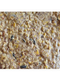 Woodpecker Almond Suet, 11.75 OZ, 12 Pack -Green Haven Shop webimage 8613691 04V