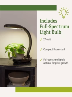 Agrobrite Desktop Plant Light -Green Haven Shop webimage Agrobrite Desktop